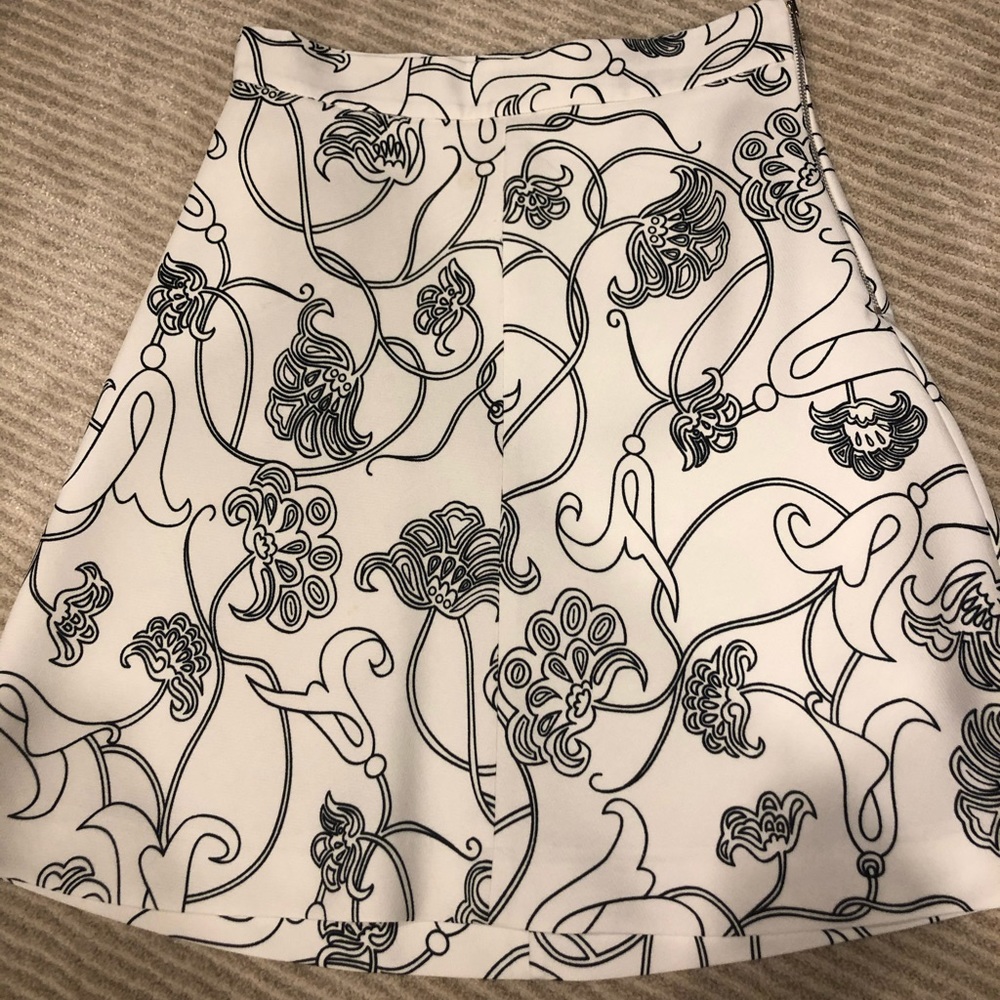 Cute Zara skirt. Size small